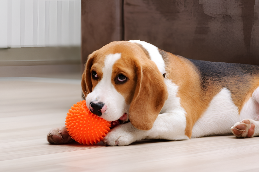 Choosing The Perfect Pet Toys For Fun