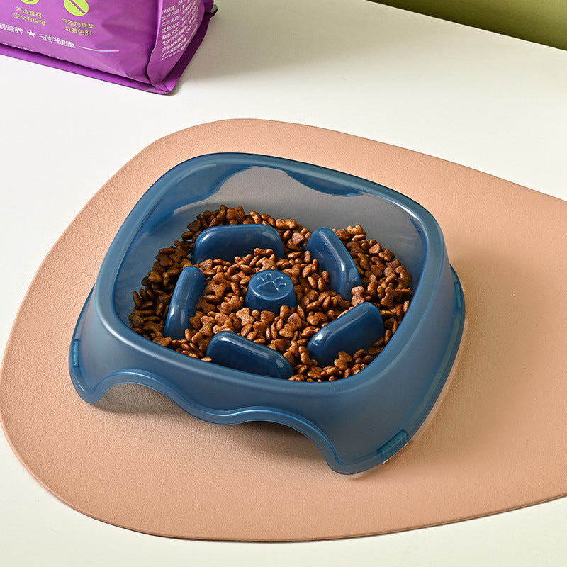 Pet Slow Feeding Anti Choking Water Feeder Bowl Plastic Food Plate