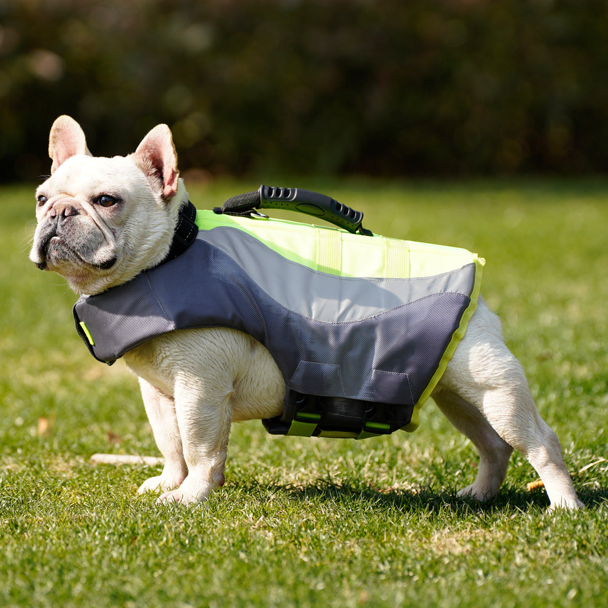 Pet Reflective Swim Life Jacket Vest