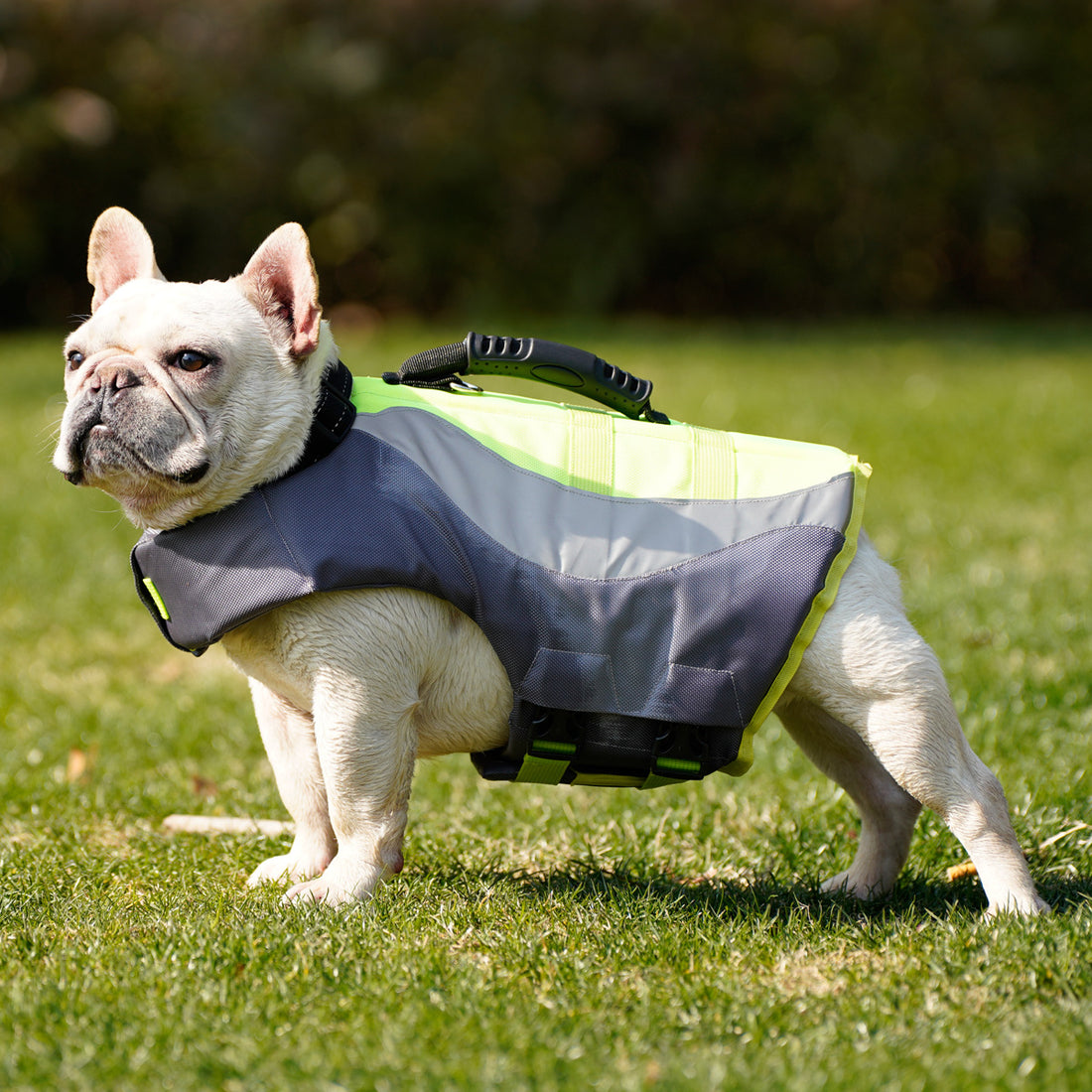 Pet Reflective Swim Life Jacket Vest
