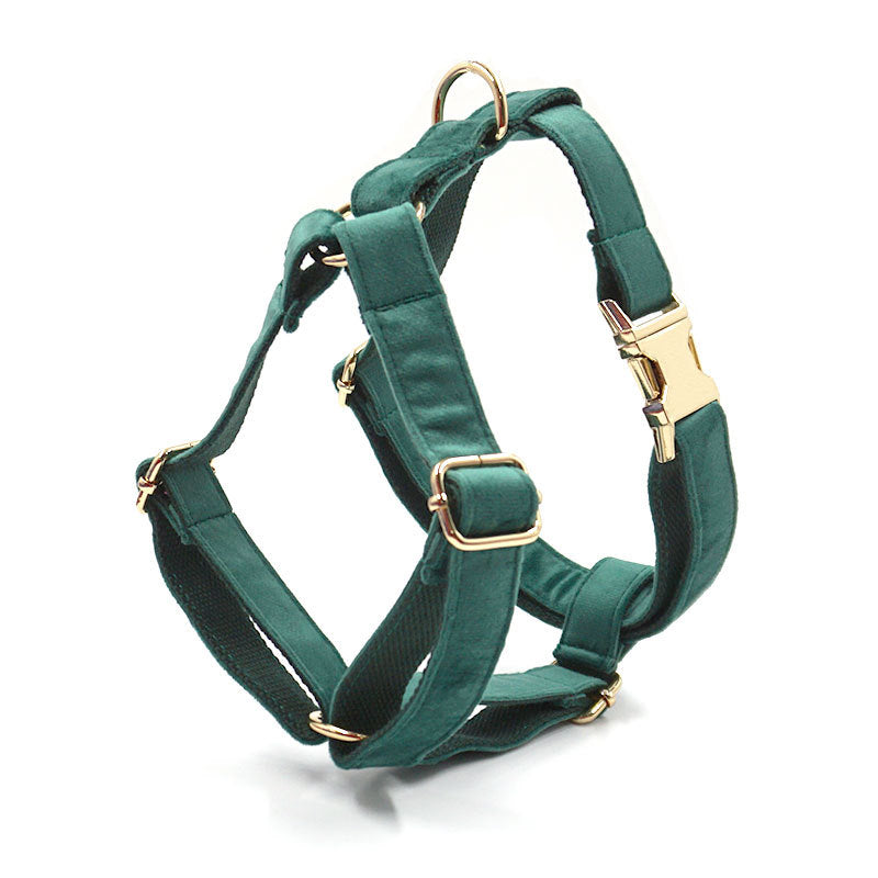 Green Velvet Pet Durable Adjustable Collar Leash Set