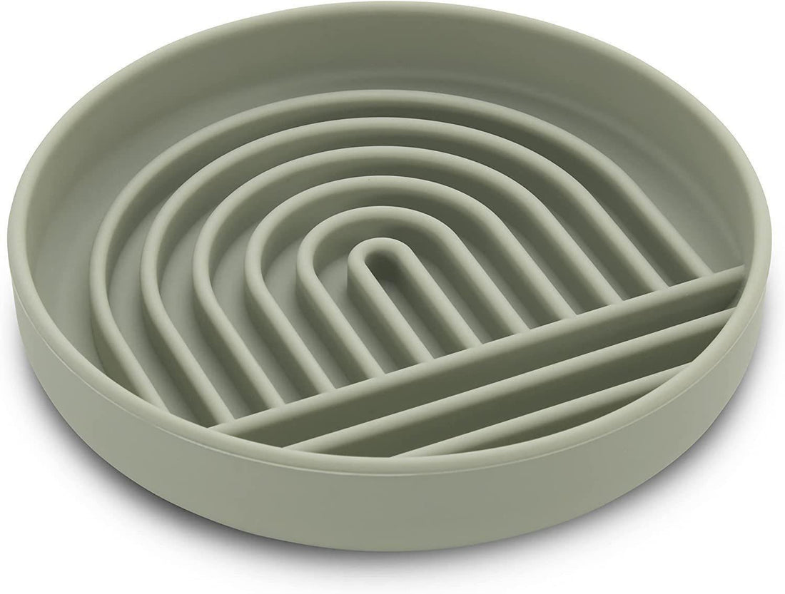 Pet Slow Feeding Bowl Fashion Simple Design