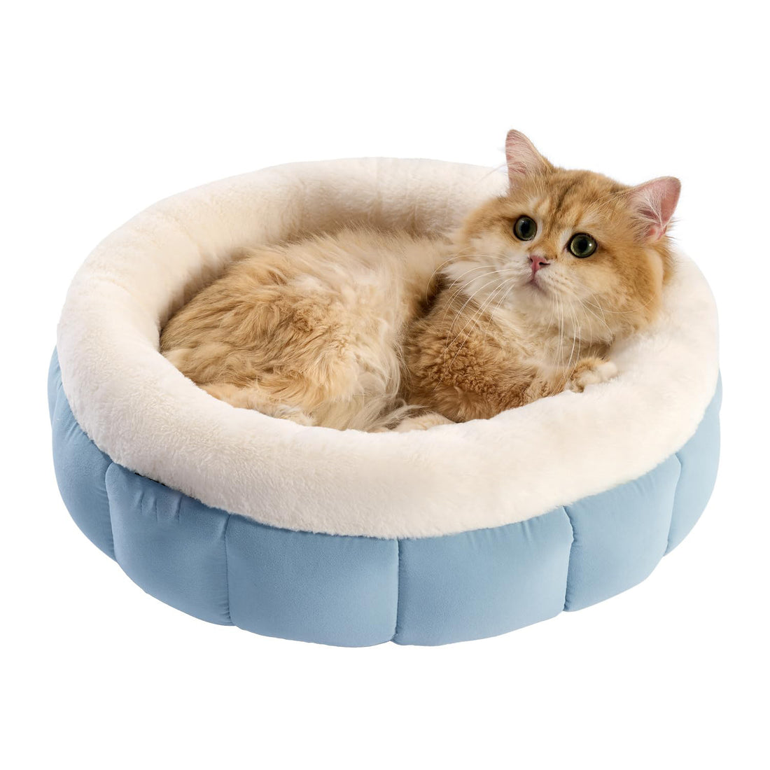 Pet Donut Round Bed Washable Anti Slip Comfort Sleeping Mat