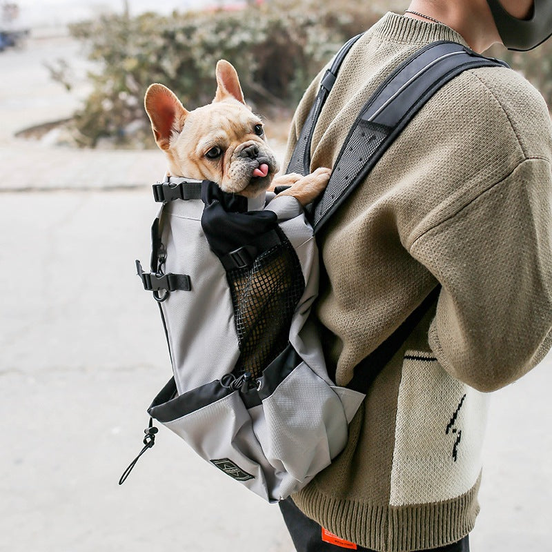 Double Shoulder Portable Pet Travel Backpack Carrier Bag