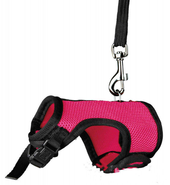 Pet Small Leash Harness Walking Strap