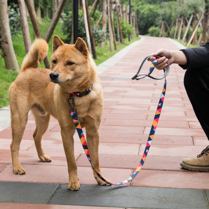 Automatic Electric Intelligent Teasing Pet Interactive Charging Toy