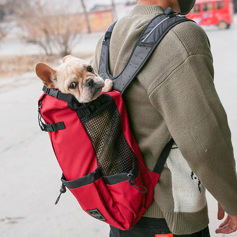 Double Shoulder Portable Pet Travel Backpack Carrier Bag