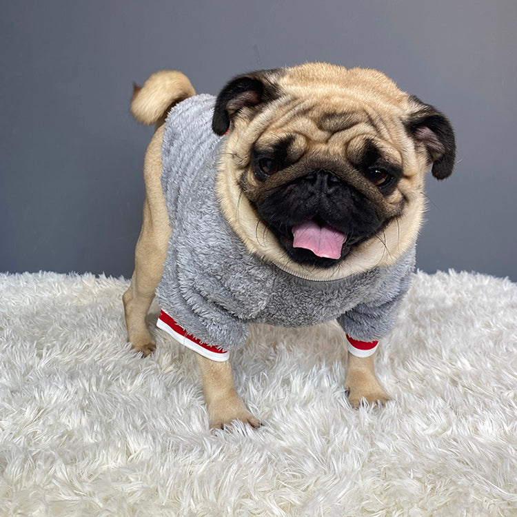 Warm Comfortable Pet Sweater Winter Clothing