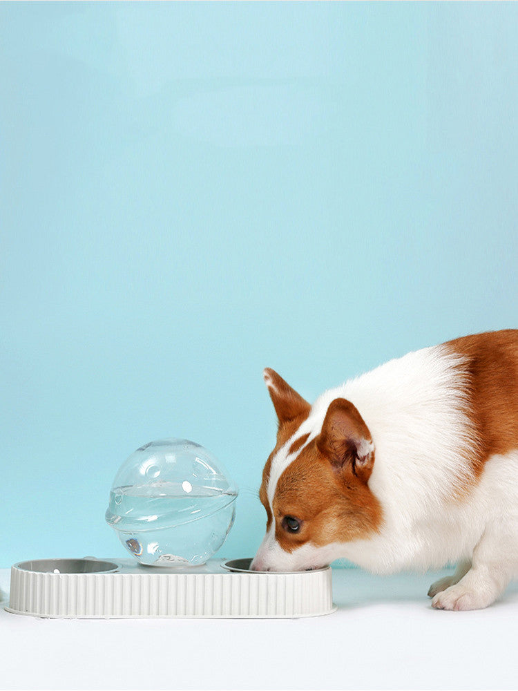 Pet Automatic Water Feeder Bowl Drinking Dispenser Plastic