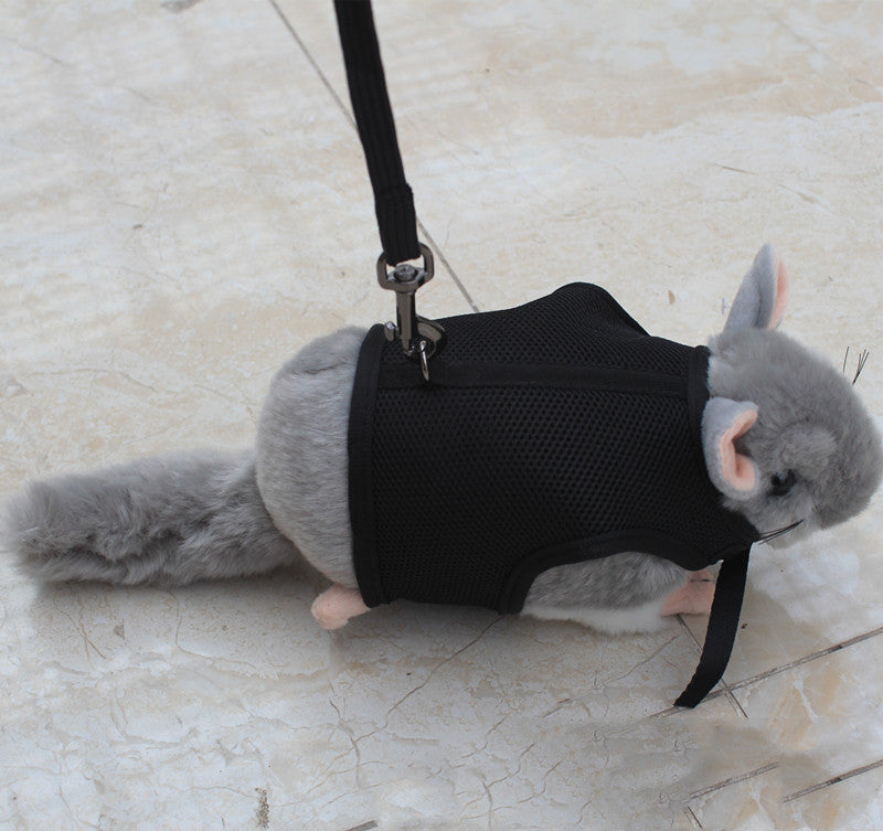 Pet Small Leash Harness Walking Strap