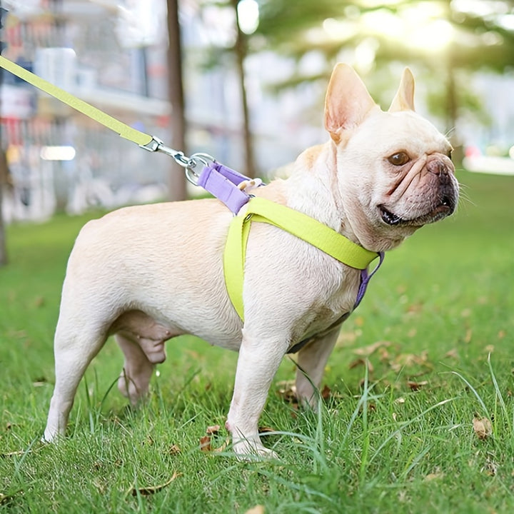 Rainbow Colorblock Pet Anti Escape Vest Harness Set Chest Leash