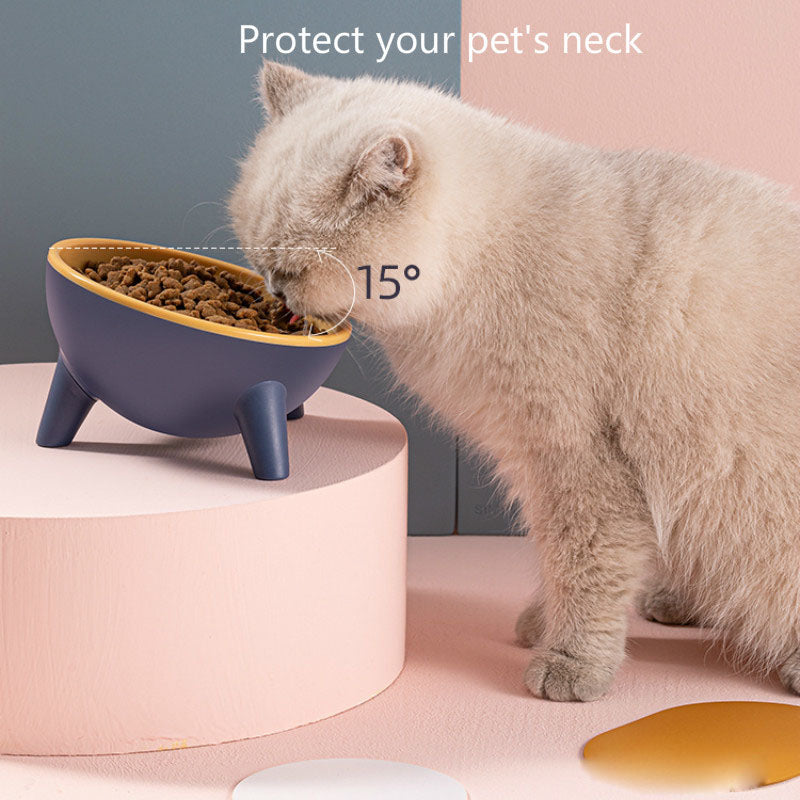 Pet Bowl With Stand Nordic Color Feeding Food Water Holder