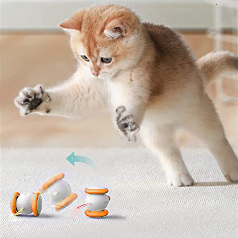Pet Removable Felt Tunnel Play Toy