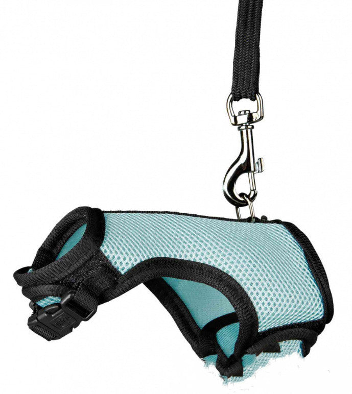 Pet Small Leash Harness Walking Strap