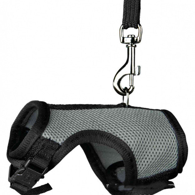 Pet Small Leash Harness Walking Strap