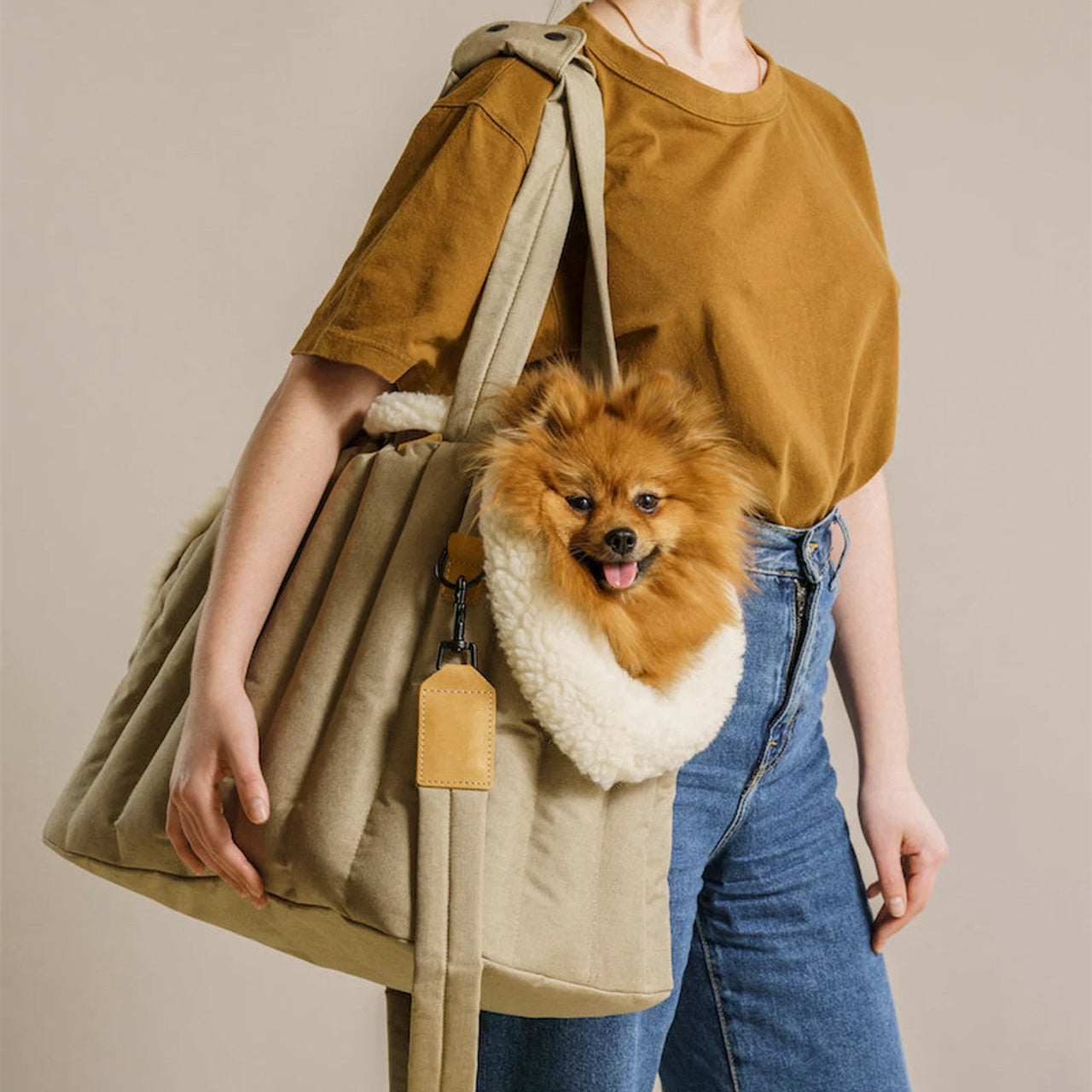 Lightweight Waterproof Pet Travel Carrier Fashion Handbag Bag