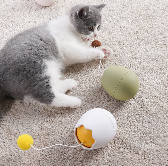 Pet Funny Interactive Play Toy
