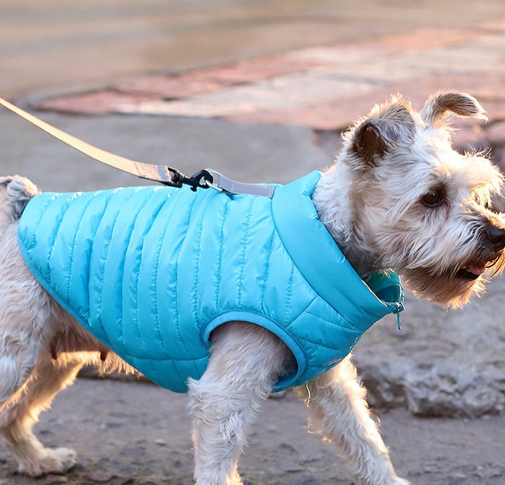 Pet Nylon Zipper Jacket Autumn Winter Warm Clothing Apparel