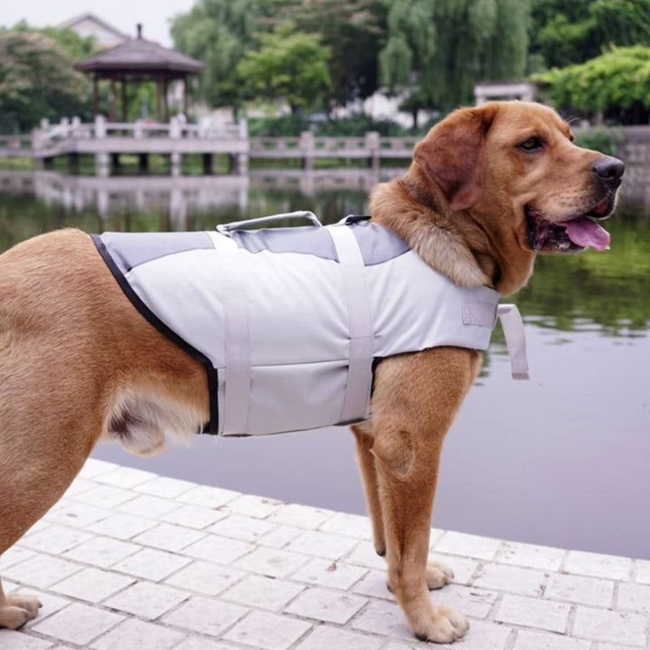 Pet Life Jacket Safety Vest