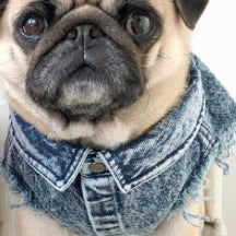 Washed Denim Pet Jacket Stylish Outdoor Clothing