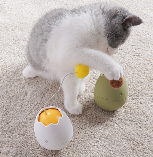 Pet Funny Interactive Play Toy