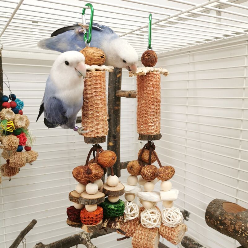 Peony Parrot Chew Toy Cuttlebone Corncob Vine Set