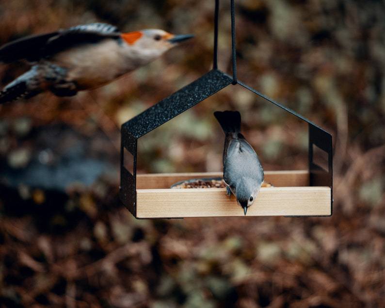 Outdoor Garden Hanging Bird Feeder Decoration