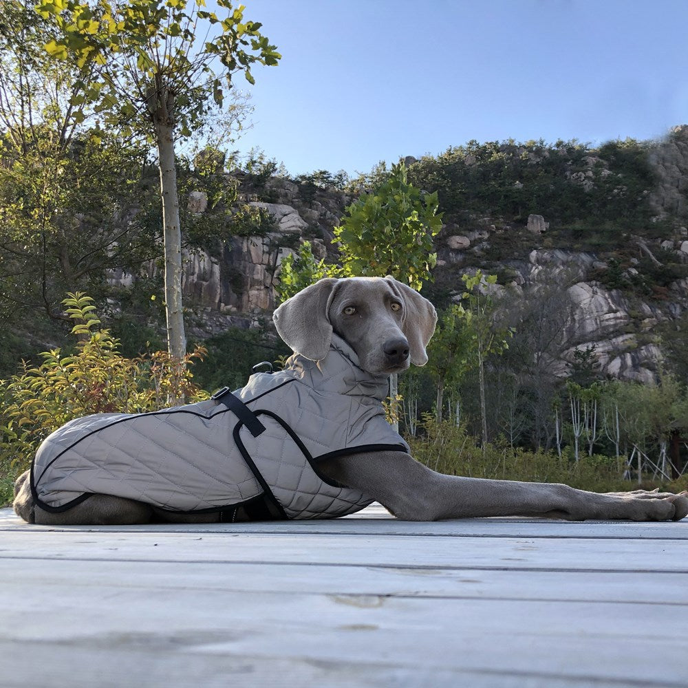 Full Body Reflective Tactical Pet Jacket Outdoor Wear