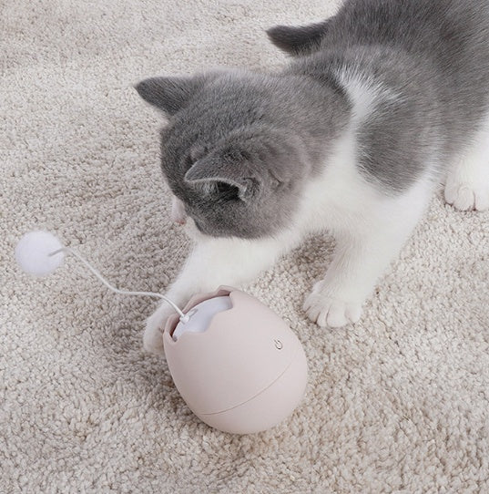 Pet Funny Interactive Play Toy