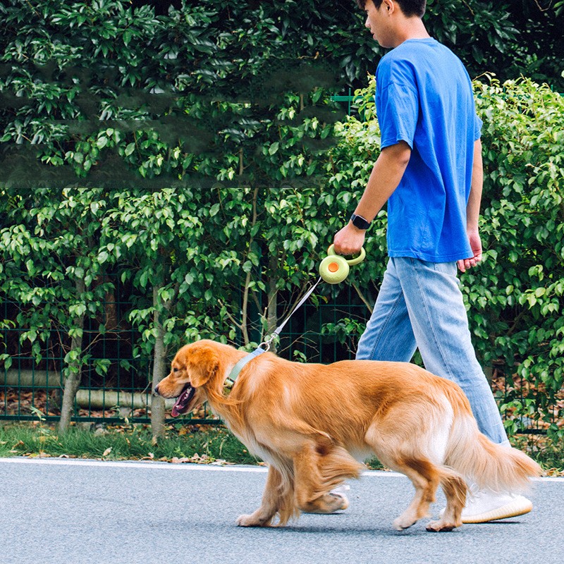 Retractable Reflective Pet Durable Control Rope Leash