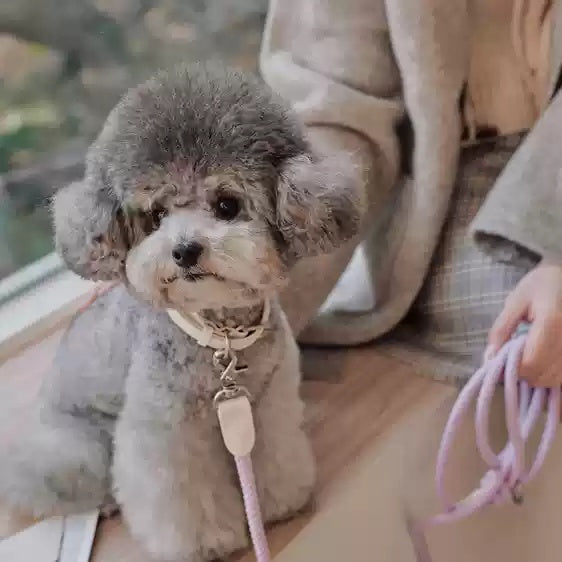 Pet Leather Handheld Collar Rope Leash Strap