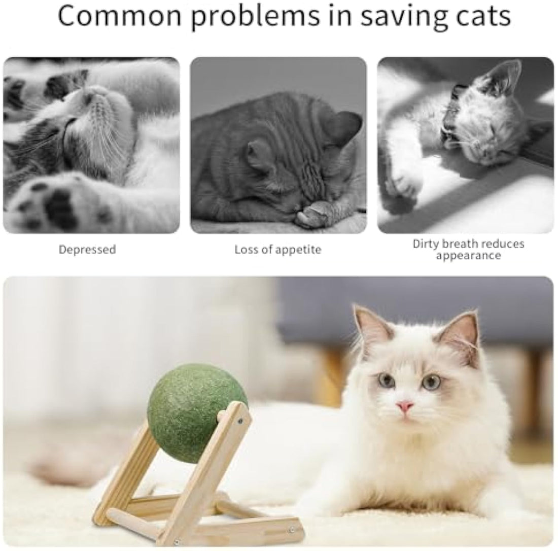 Pet Catnip Ball Toy With Holder Safe Indoor Exercise Toy