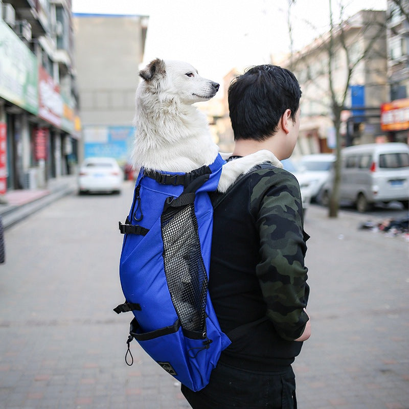 Double Shoulder Portable Pet Travel Backpack Carrier Bag