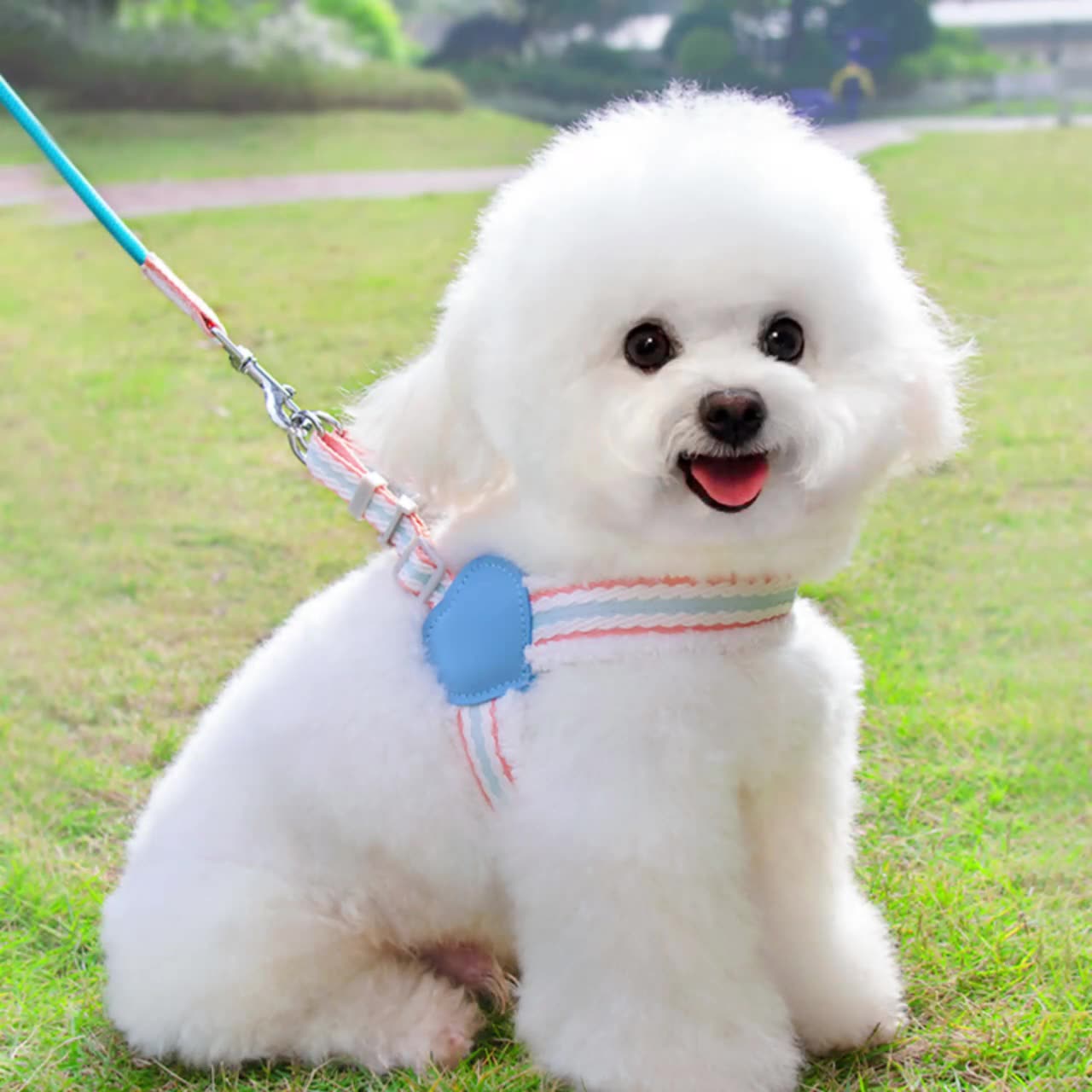 Pet Breathable Chest Vest Walking Leash Harness Strap