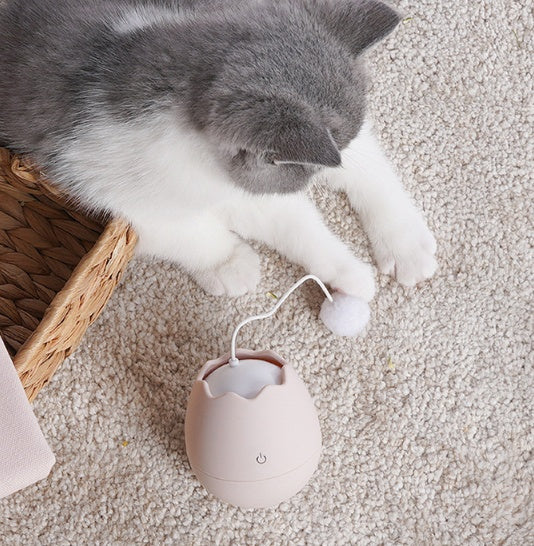 Pet Funny Interactive Play Toy