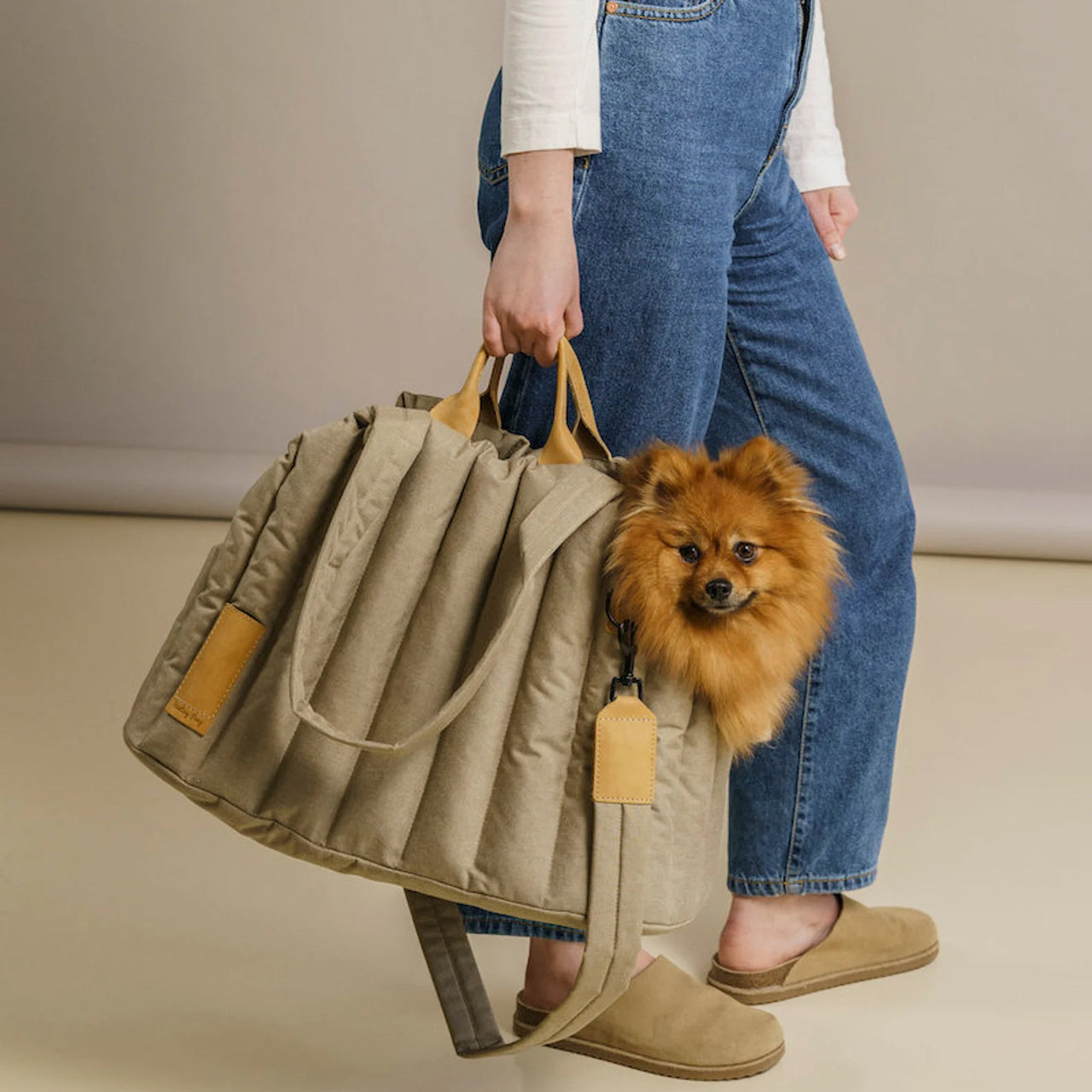 Lightweight Waterproof Pet Travel Carrier Fashion Handbag Bag