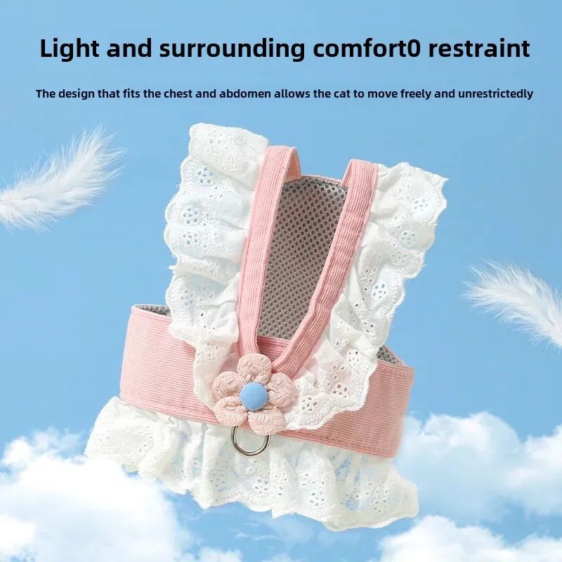 Pet Summer Walking Safety Rope Back Strap Leash Harness