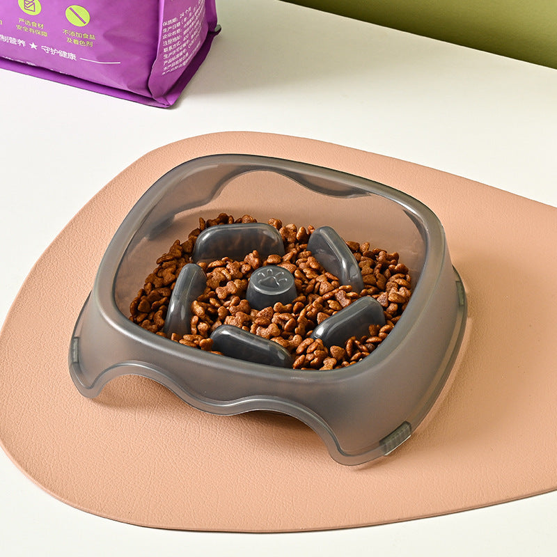 Pet Slow Feeding Anti Choking Water Feeder Bowl Plastic Food Plate