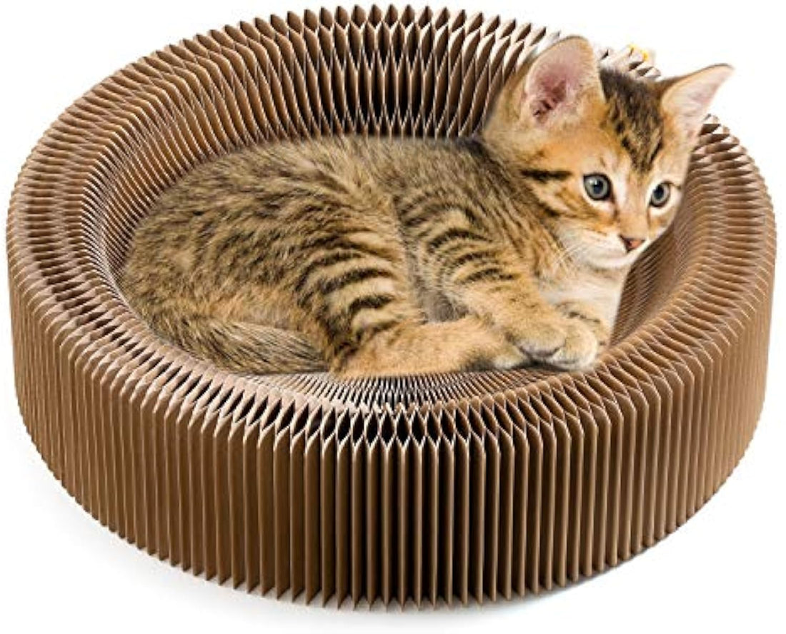 Collapsible Pet Scratcher Lounge Bed Corrugated Cardboard Round Nest Washable