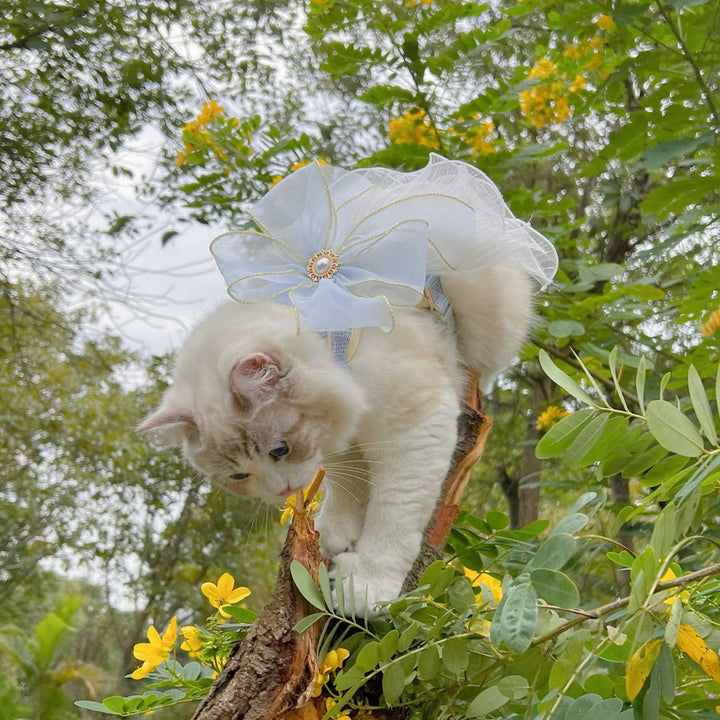 Pet Layered Yarn Universal Leash Strap