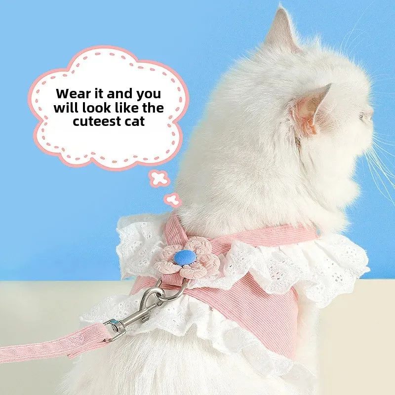 Pet Summer Walking Safety Rope Back Strap Leash Harness