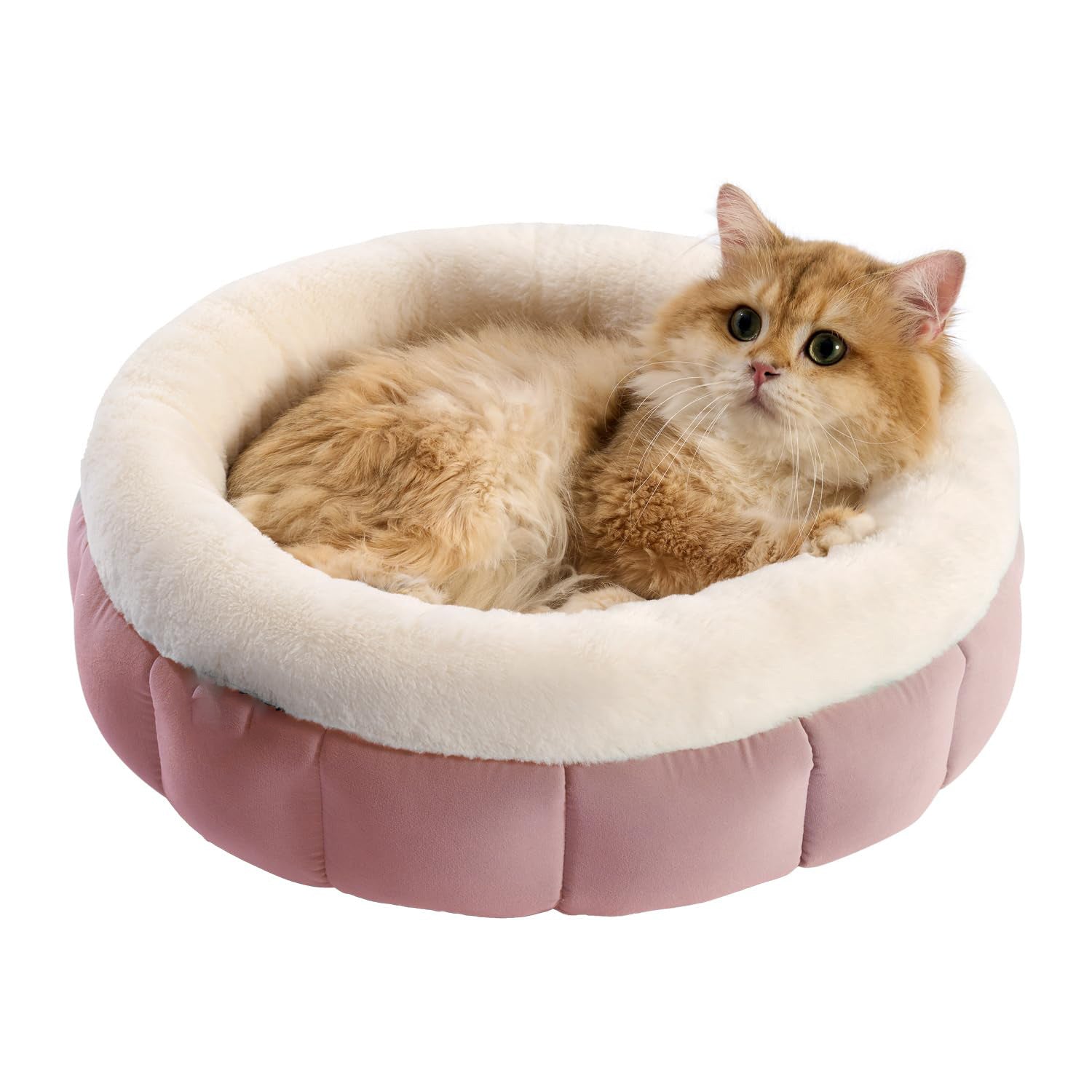 Pet Donut Round Bed Washable Anti Slip Comfort Sleeping Mat
