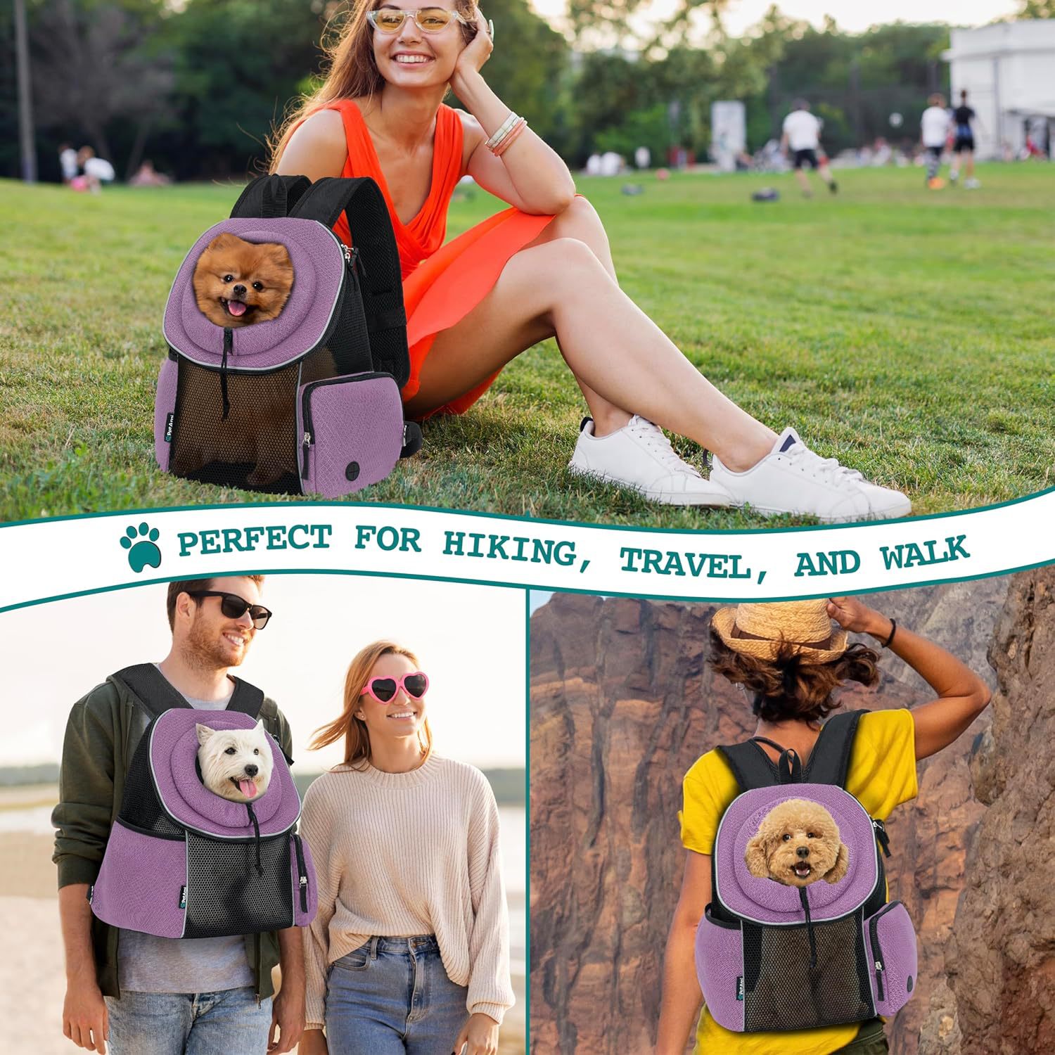 Portable Breathable Pet Travel Backpack Carrier Bag