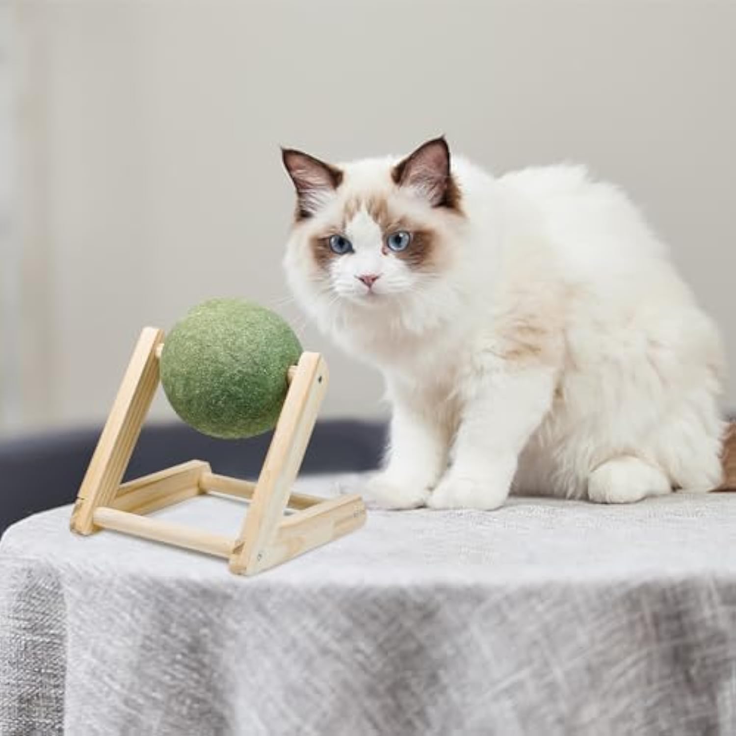 Pet Catnip Ball Toy With Holder Safe Indoor Exercise Toy