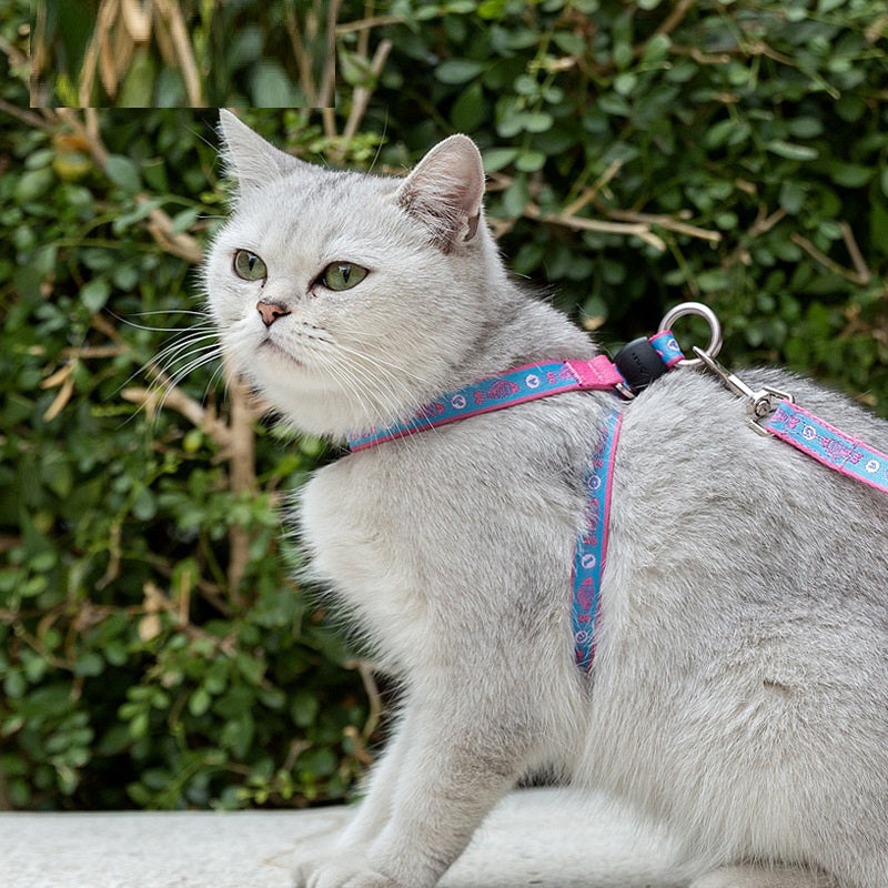 Pet Bell Chest Strap Vest Leash Harness Rope