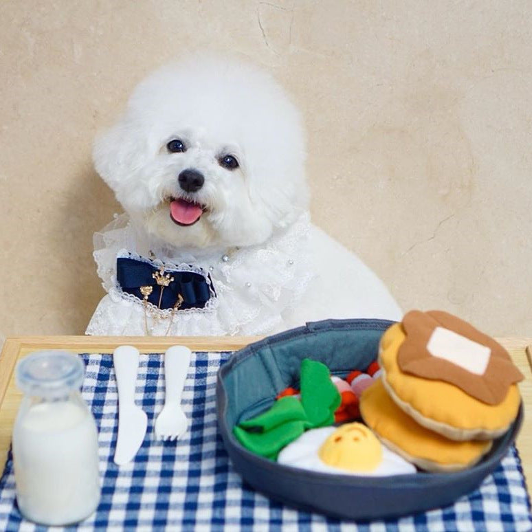 Pet Hide Treat Dispensing Interactive Toy