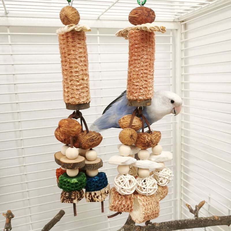 Peony Parrot Chew Toy Cuttlebone Corncob Vine Set