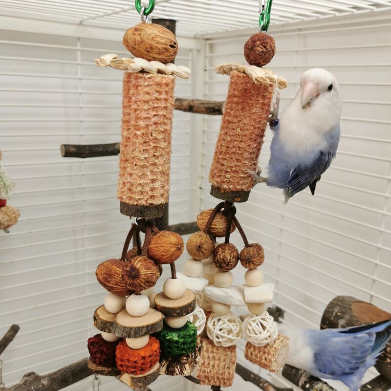 Peony Parrot Chew Toy Cuttlebone Corncob Vine Set