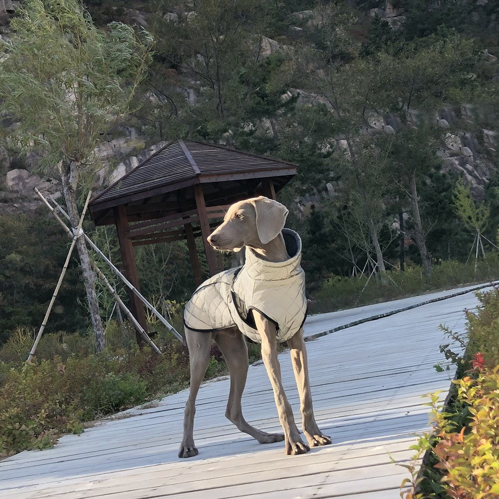 Full Body Reflective Tactical Pet Jacket Outdoor Wear