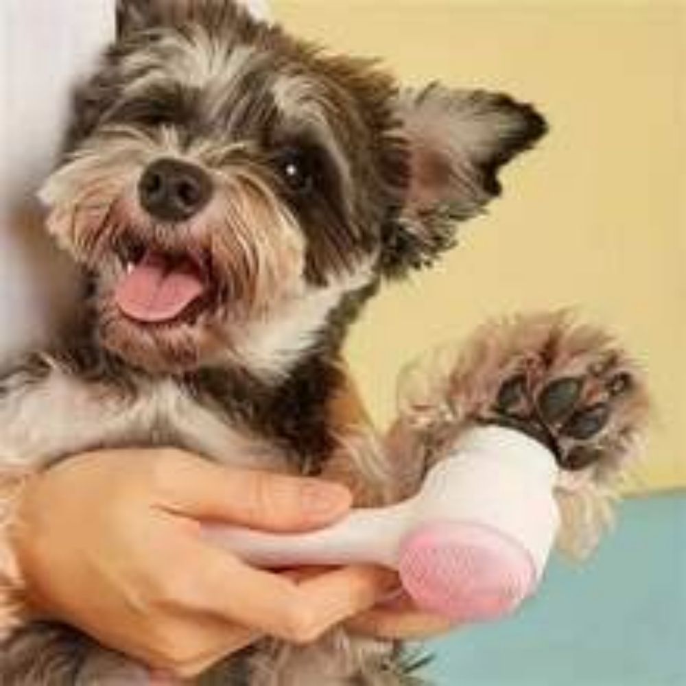 Pet Paw Gentle Grooming Massage Cleaning Brush Tool